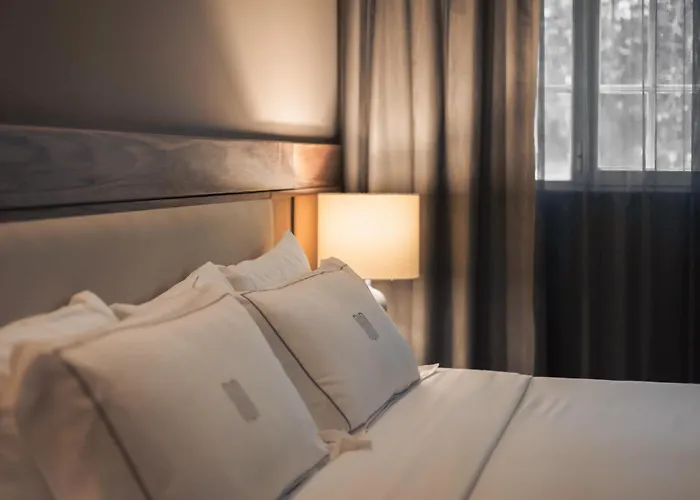 Hotel Maria Condesa 4*